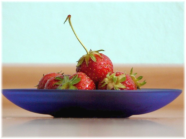 P1040301.jpg